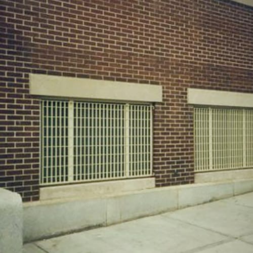 Hinge Mounted Window Guard